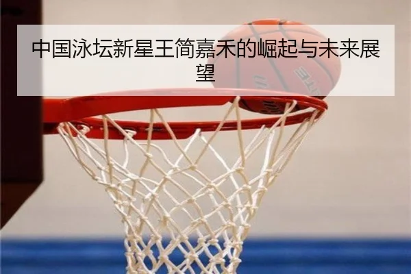 zhong-guo-yong-tan-xin-xing-wang-jian-jia-he-de-jue-qi-yu-wei-lai-zhan-wang-2-513.jpg